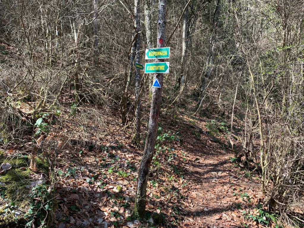 46337274Master 1024x768