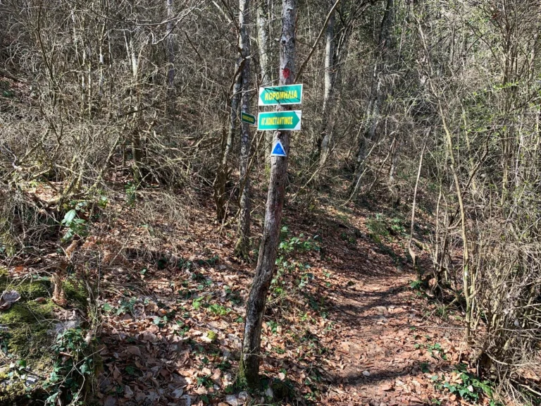 46337274Master 768x576