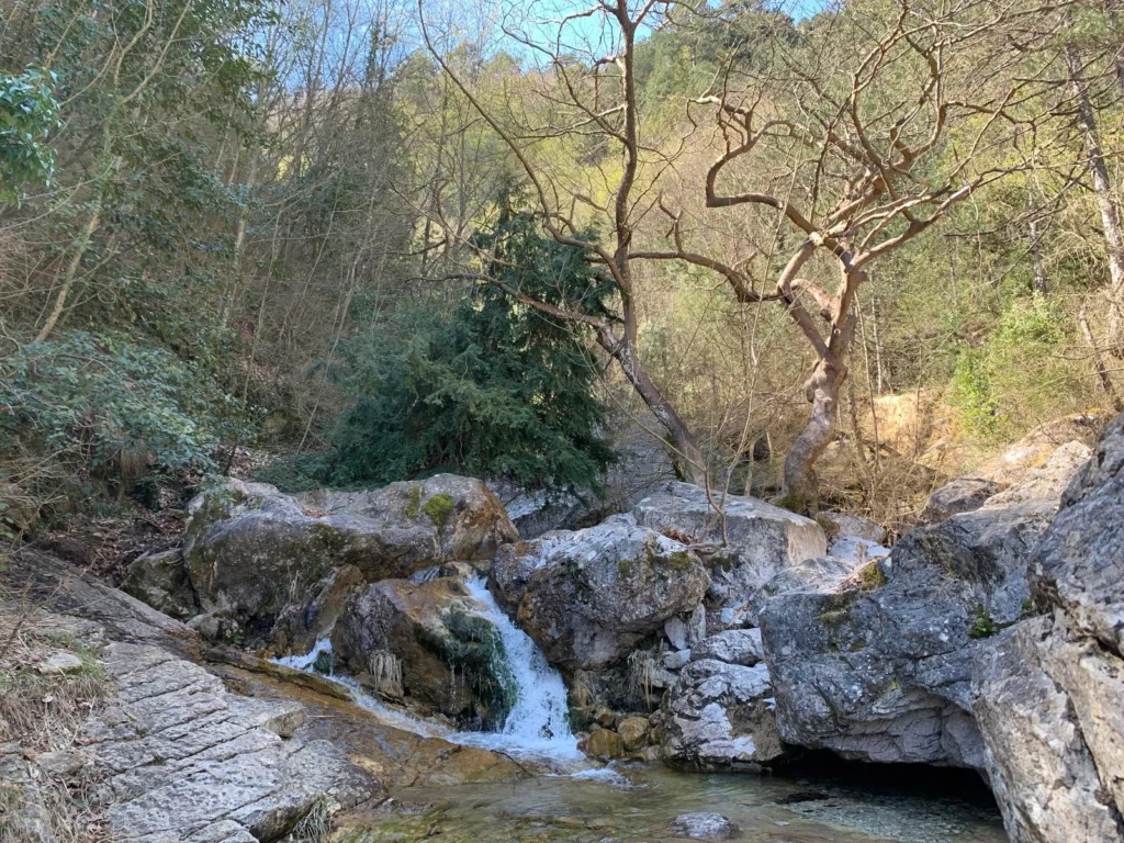 46337411Master 1 1024x768