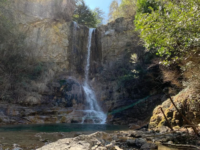 46337503Master 768x576