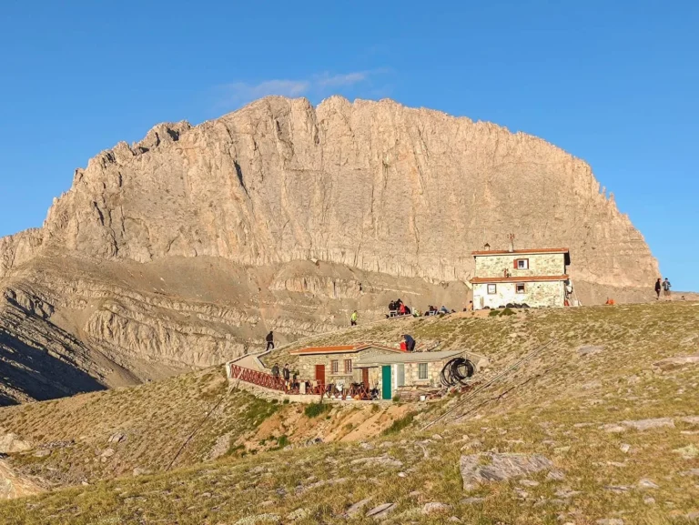 Kakkalos Website 768x577