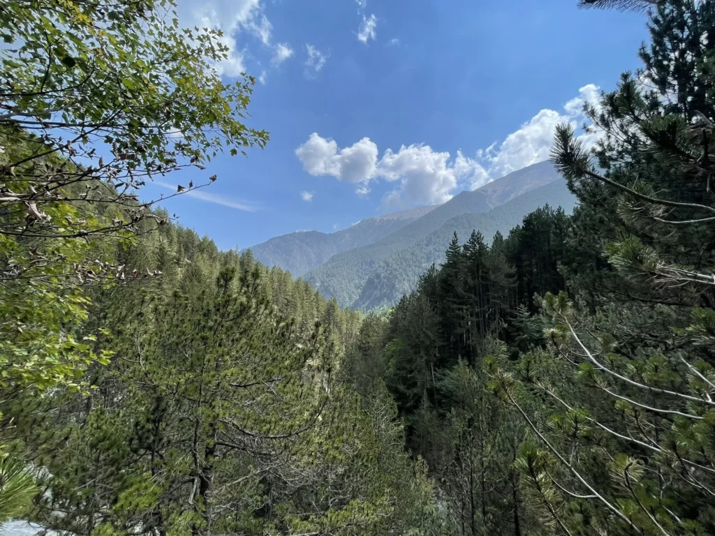 eyJidWNrZXQiOiJhc3NldHMuYWxsdHJhaWxzLmNvbSIsImtleSI6InVwbG9hZHMvcGhvdG8vaW1hZ2UvODI5ODc3ODQvMGNkMTdlNjFlNzJhYTFiMTQ3NGY2YWE1MzBiZGE5YzUuanBnIiwiZWRpdHMiOnsidG9Gb3JtYXQiOiJ3ZWJwIiwicmVzaXplIjp7IndpZHRoIjoyMDQ4LCJoZWlnaHQiOjIwNDgsImZpdCI6Iml 1024x768