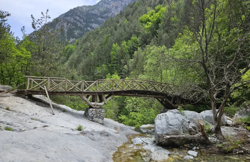 eyJidWNrZXQiOiJhc3NldHMuYWxsdHJhaWxzLmNvbSIsImtleSI6InVwbG9hZHMvcGhvdG8vaW1hZ2UvOTk5ODA3NTgvZTI0YmVhNmYwMTVhMzg1NmYyYTE5OTVkOWYwODIyMGYuanBnIiwiZWRpdHMiOnsidG9Gb3JtYXQiOiJ3ZWJwIiwicmVzaXplIjp7IndpZHRoIjoxMDgwLCJoZWlnaHQiOjcwMCwiZml0Ijo 1 1024x664