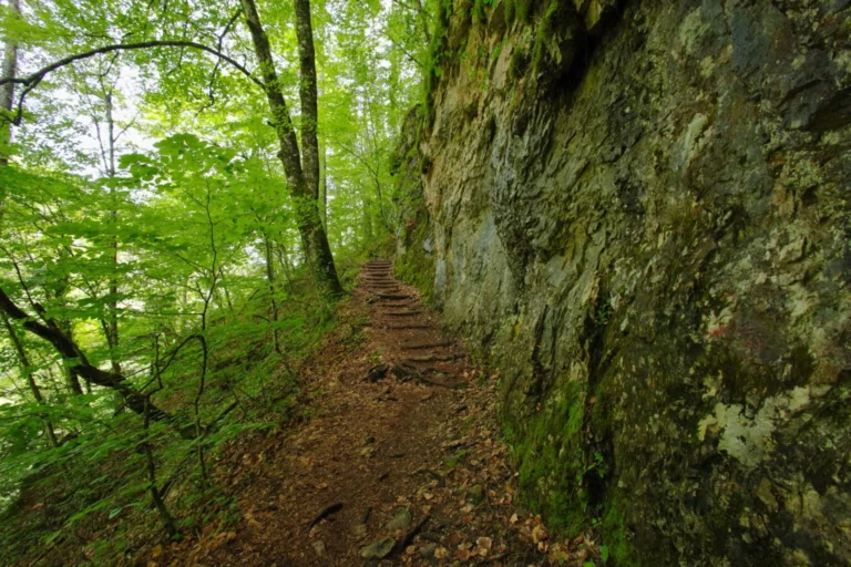 gorge enipeas 1536x1024 1 768x512