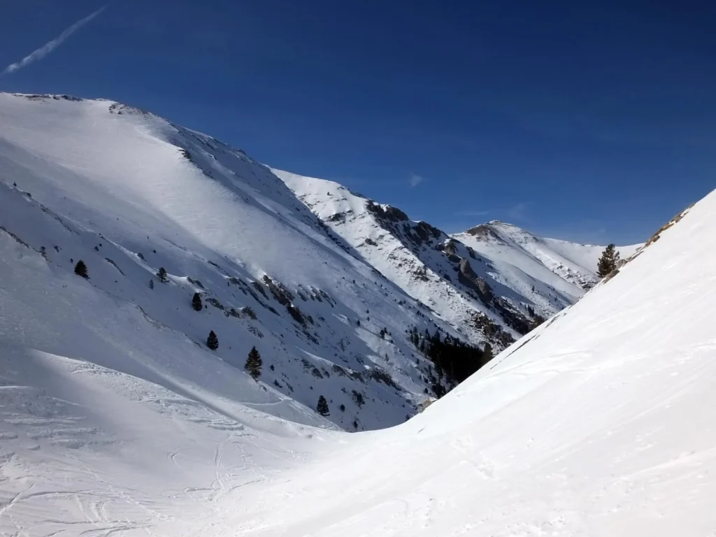 unnamed file 1 1024x768