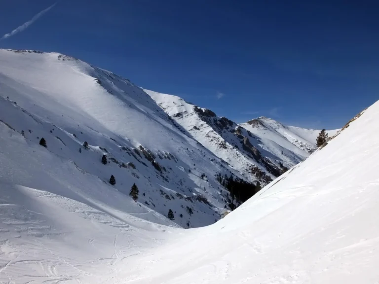 unnamed file 1 768x576