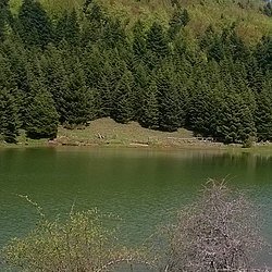 250px Η ΛΙΜΝΗ ΤΟΥ ΚΑΤΗ