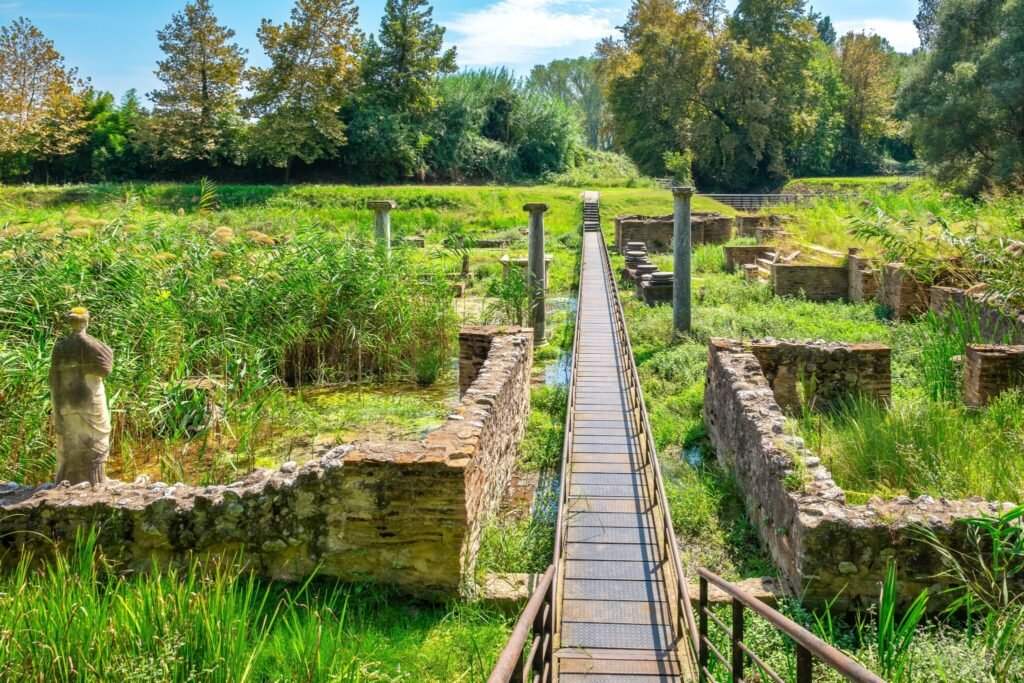 dion34 2048x1365 1 1024x683