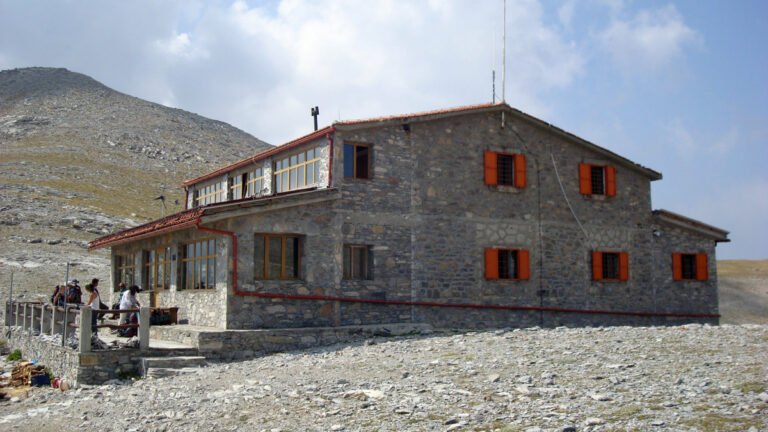 image 2361 768x432