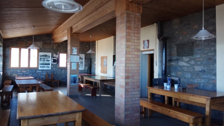 image 2365 768x432